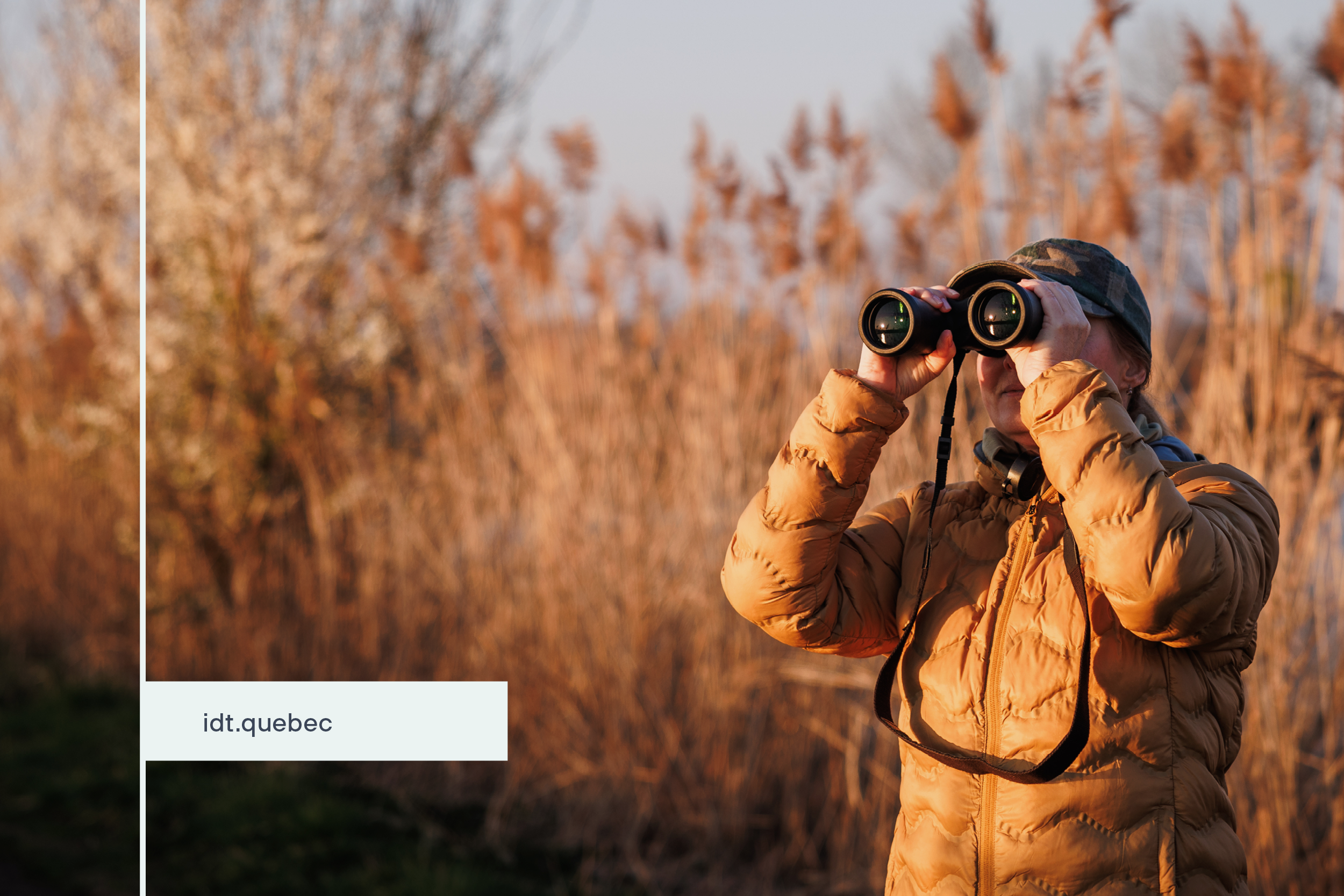 image 1200 x 800_canards