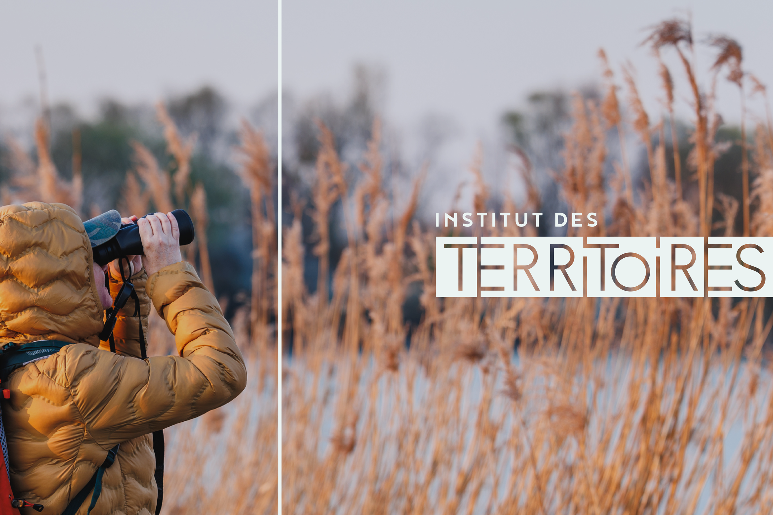 image 1200 x 800_idt1