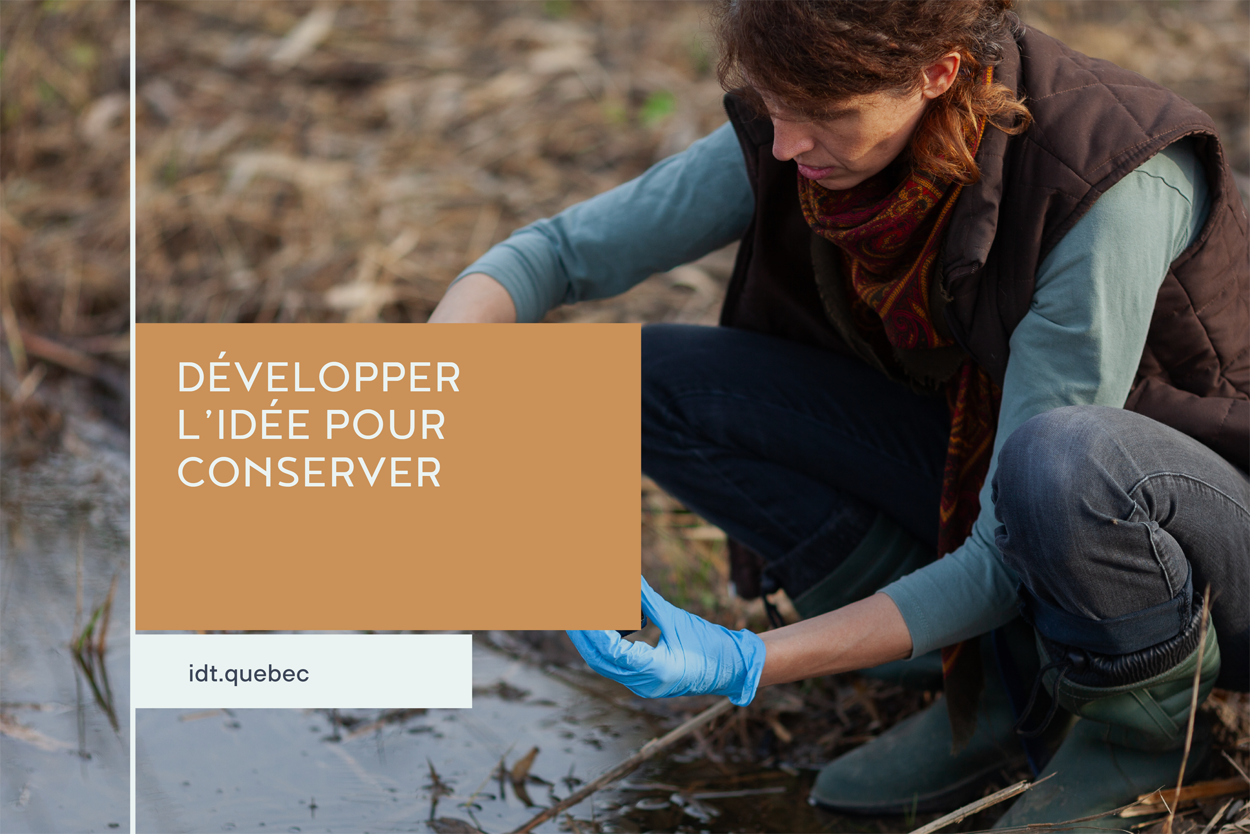 image 1200 x 800_idt13