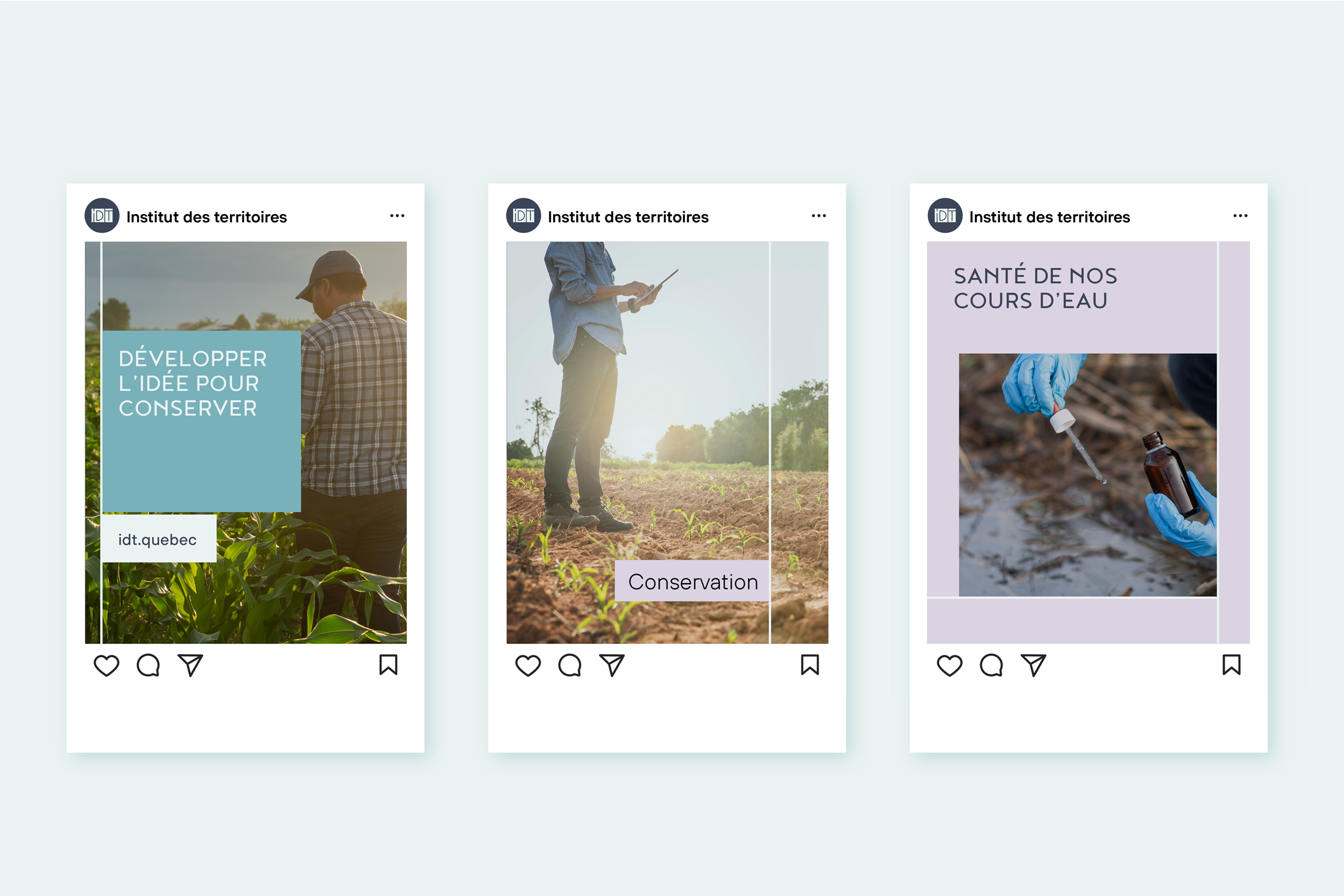 image 1200 x 800_idt14