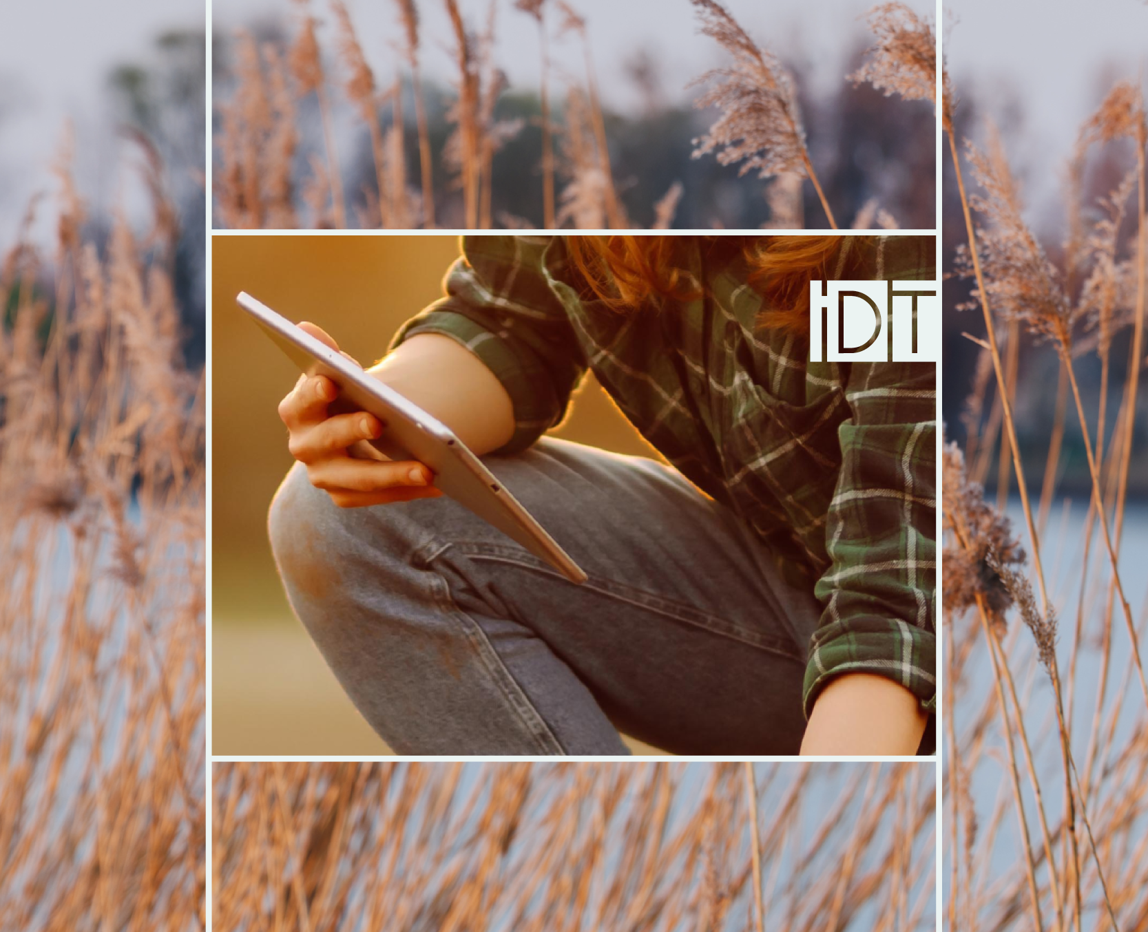 image_portfolio_800x650_idt_